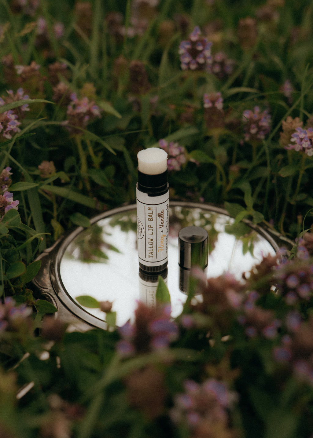 Tallow Lip Balm – Honey + Vanilla