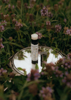 Tallow Lip Balm – Honey + Vanilla