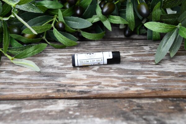 Tallow Lip Balm - Honey + Vanilla - Image 3