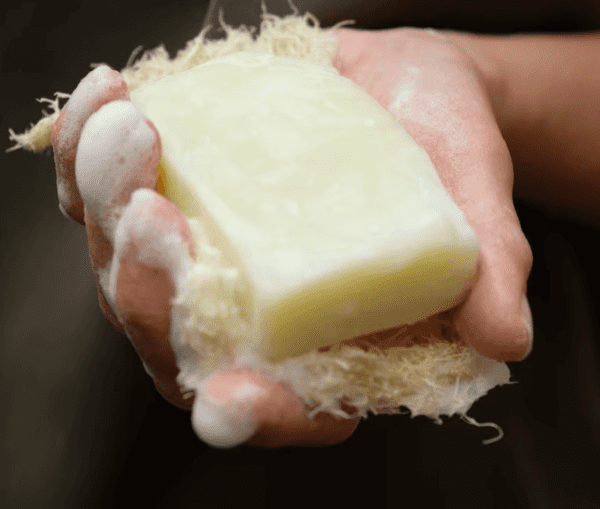 lathered tallow soap - Tallow Soap from Olive Tree Natural Skincare
