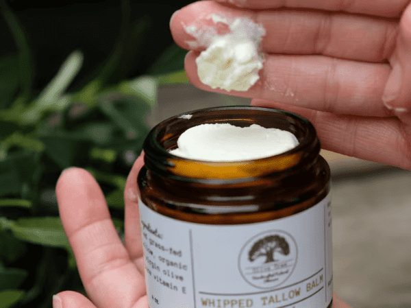 someone showing a dollop of tallow balm on their finger and holding an open 4 ounce jar of whipped tallow balm with lavender scent from Olive Tree Natural Skincare